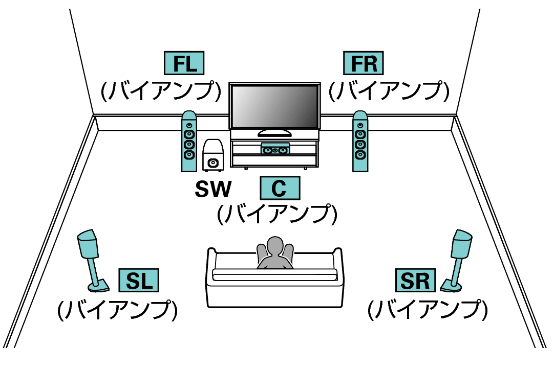 Pict SP Layout 5.1 BiAmp X64